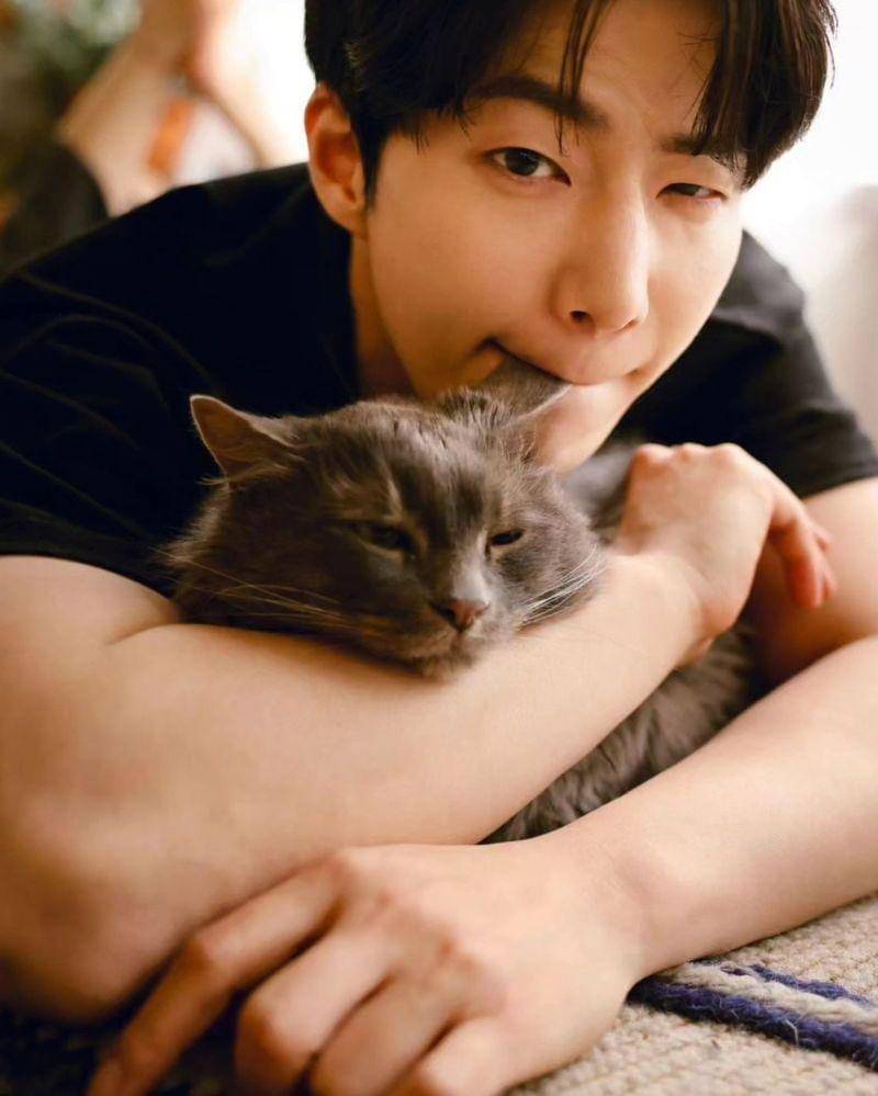 Instagram.com/cannes_pic